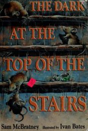 book cover of The dark at the top of the stairs by Sam McBratney