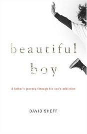 book cover of Beautiful Boy: A Father's Journey Through His Son's Meth Addiction by David Sheff