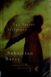 book cover of Il segreto by Sebastian Barry