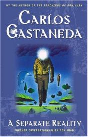 book cover of A Separate Reality by Carlos Castaneda