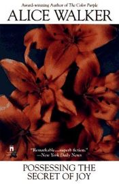 book cover of Sie hüten das Geheimnis des Glücks by Alice Walker