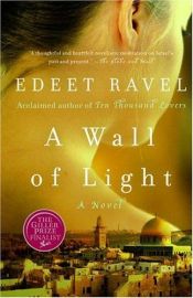 book cover of A Wall of Light by Edeet Ravel