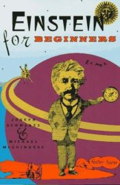 book cover of Einstein for Beginners by אלברט איינשטיין