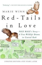 book cover of Red-Tails in Love: A Wildlife Drama in Central Park by Marie Winn