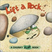 book cover of Lift A Rock Chunky Flap Book (Chunky Flap Books) by Christopher Santoro