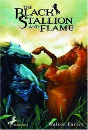 book cover of Svarten møter Flamme by Walter Farley