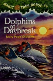 book cover of Dolphins at Daybreak by Mary Pope Osborne