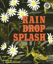 book cover of Rain Drop Splash by Alvin Tresselt