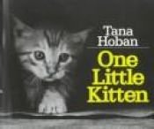 book cover of One Little Kitten by Tana Hoban