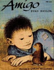 book cover of Amigo by Byrd Baylor