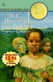 book cover of M. C. Higgins, der Große by Virginia Hamilton