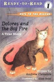 book cover of Dolores and the big fire : a true story by Andrew Clements