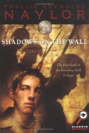 book cover of Shadows on the Wall by Phyllis Reynolds Naylor