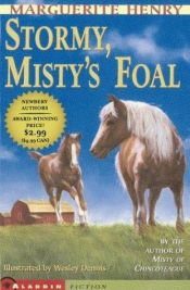 book cover of Stormy, Misty's Foal by Marguerite Henry