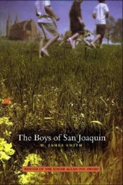 book cover of The Boys of San Joaquin by D. James Smith
