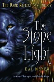book cover of The Dark Reflections Trilogy-The Stone Light by Kai Meyer