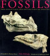 book cover of Fossils : the evolution and extinction of species by نیلز الدرج