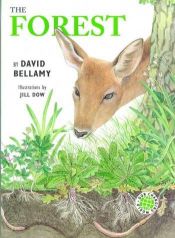 book cover of OUR CHANGING WORLD THE FOREST (Our Changing World) by David Bellamy