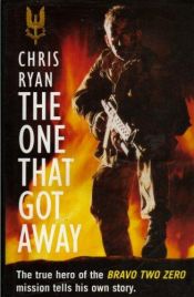 book cover of Den enda som kom undan by Chris Ryan