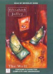 book cover of Der Mann im Brunnen by Elizabeth Jolley