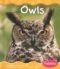 Owls (Woodland Animals)