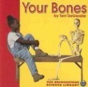 book cover of Your Bones (Bridgestone Science Library: Your Body) by Terri Degezelle