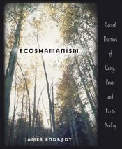 book cover of Ecoshamanism by James Endredy