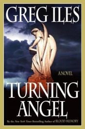 book cover of Turning angel by Грег Айлс