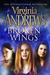 book cover of Broken Wings Display by Virginia C. Andrews