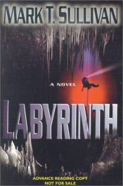 book cover of Labyrinth by Mark T. Sullivan