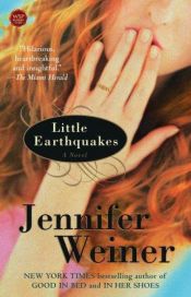 book cover of Små jordskælv by Jennifer Weiner
