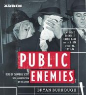book cover of Public Enemies [DVD] by Michael Mann