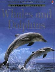 book cover of Whales and Dolphins (Usborne Discovery) by Susanna Davidson