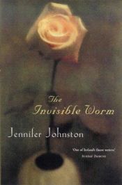 book cover of The invisible worm by Jennifer Johnston