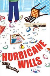 book cover of Hurricane Wills by Sally Grindley