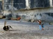 book cover of Little people in the city by Slinkachu