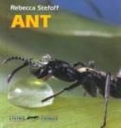 book cover of Ant (Living Things) by Rebecca Stefoff