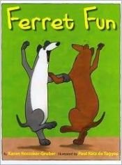 book cover of Ferret Fun by Karen Rostoker-Gruber
