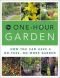 The one-hour garden : how you can have a no-fuss, no-work garden