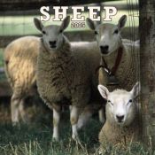 book cover of Sheep 2005 Wall Calendar by Browntrout
