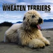 book cover of Soft Coated Wheaten Terriers 2005 Wall Calendar by Browntrout