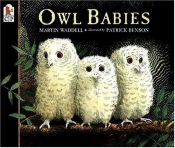 book cover of Owl babies by Martin Waddell