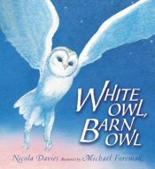 book cover of White Owl, Barn Owl by Nicola Davies