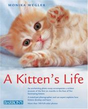 book cover of Katzenkinder entdecken die Welt.. by Monika Wegler