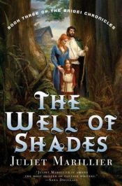 book cover of The Well of Shades by Juliet Marillier
