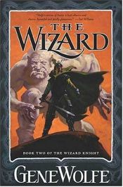 book cover of The Wizard by جین وولف