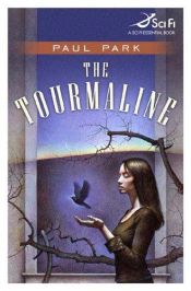 book cover of The Tourmaline by Paul Park