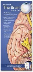 book cover of Anatomical Chart Company's Illustrated Pocket Anatomy: Anatomy of the Brain Study Guide (Anatomical Chart Company's Illu by Anatomical Chart Company