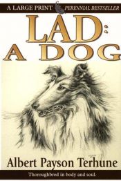 book cover of Lad a Dog by Albert Payson Terhune
