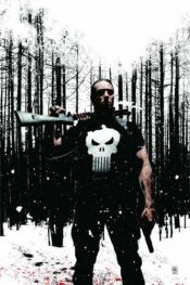 book cover of Punisher MAX, Vol. 4 by Garth Ennis